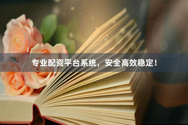 专业配资平台系统，安全高效稳定！