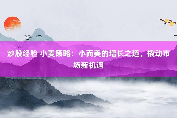 炒股经验 小麦策略：小而美的增长之道，撬动市场新机遇