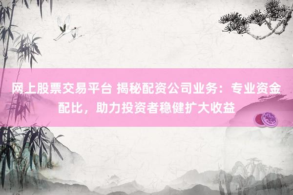 网上股票交易平台 揭秘配资公司业务：专业资金配比，助力投资者稳健扩大收益