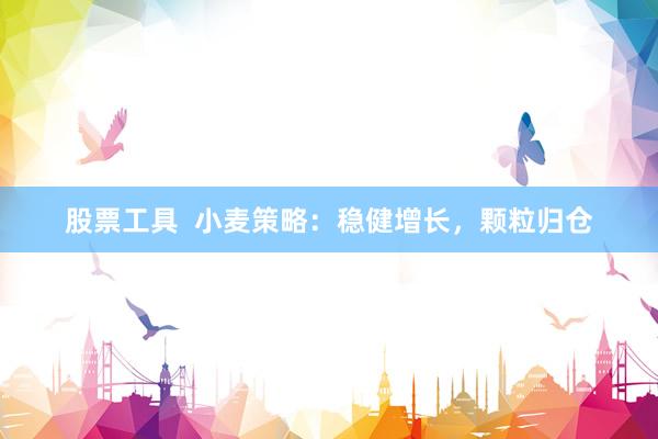 股票工具  小麦策略：稳健增长，颗粒归仓