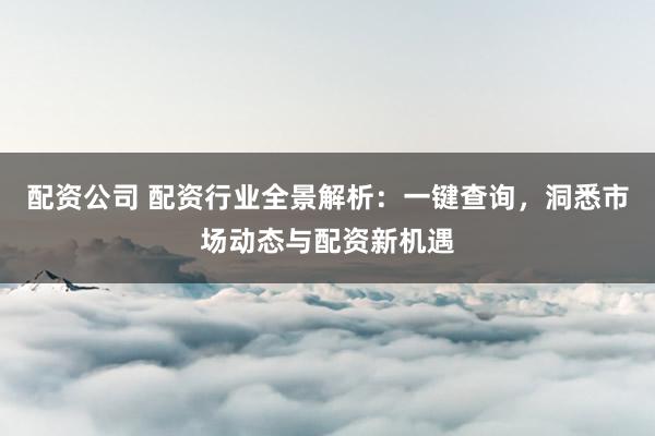 配资公司 配资行业全景解析：一键查询，洞悉市场动态与配资新机遇
