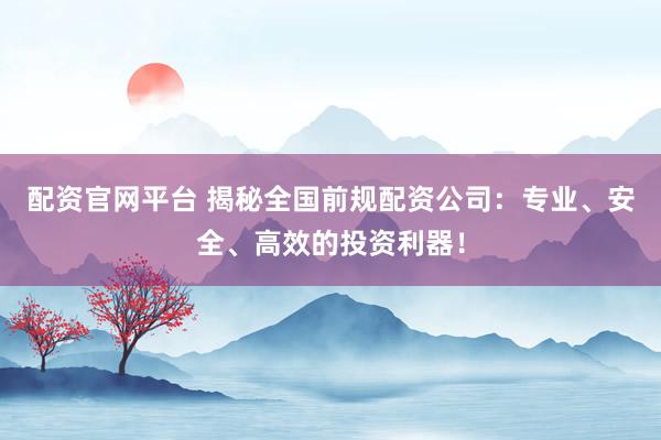 配资官网平台 揭秘全国前规配资公司：专业、安全、高效的投资利器！
