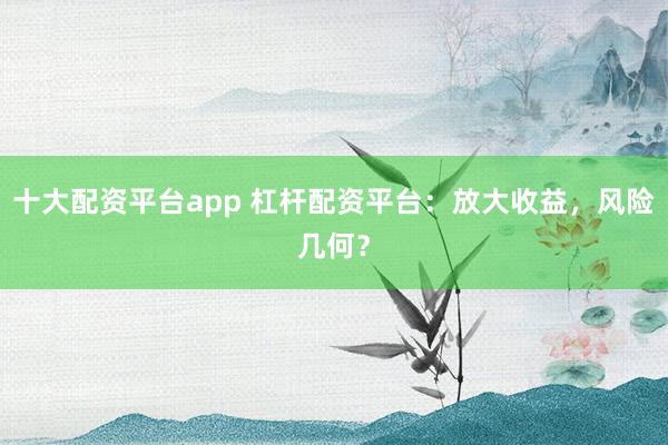 十大配资平台app 杠杆配资平台：放大收益，风险几何？