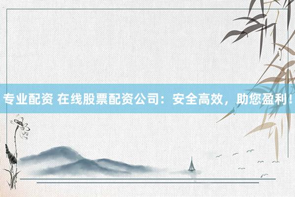 专业配资 在线股票配资公司：安全高效，助您盈利！