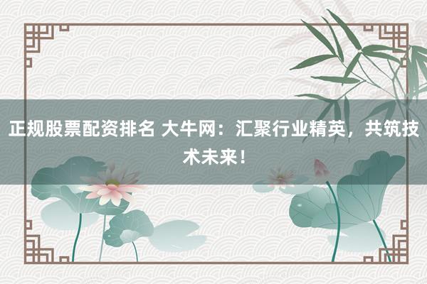 正规股票配资排名 大牛网：汇聚行业精英，共筑技术未来！