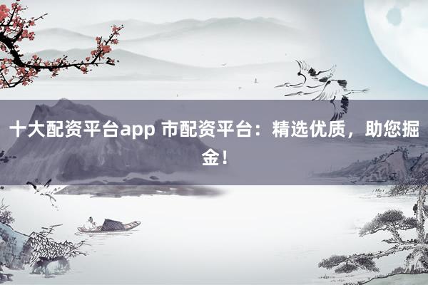 十大配资平台app 市配资平台：精选优质，助您掘金！