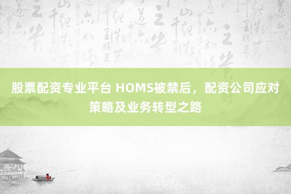 股票配资专业平台 HOMS被禁后，配资公司应对策略及业务转型之路