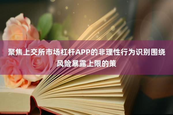 聚焦上交所市场杠杆APP的非理性行为识别围绕风险暴露上限的策