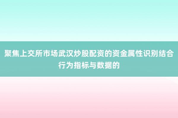 聚焦上交所市场武汉炒股配资的资金属性识别结合行为指标与数据的