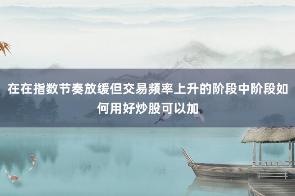 在在指数节奏放缓但交易频率上升的阶段中阶段如何用好炒股可以加