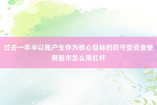 过去一年半以账户生存为核心目标的防守型资金使用股市怎么用杠杆