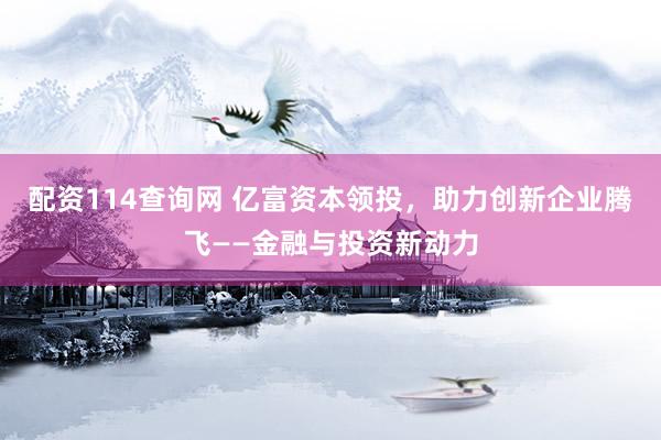 配资114查询网 亿富资本领投，助力创新企业腾飞——金融与投资新动力