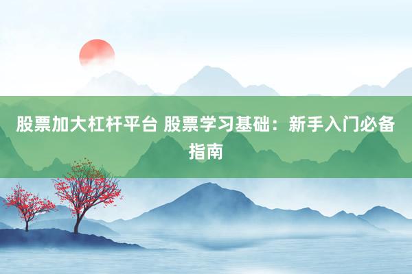 股票加大杠杆平台 股票学习基础:新手入门必备指南