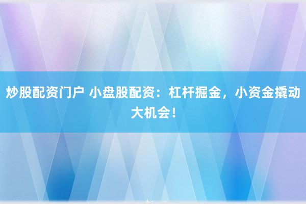 炒股配资门户 小盘股配资：杠杆掘金，小资金撬动大机会！