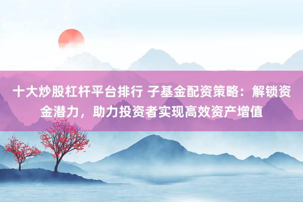 十大炒股杠杆平台排行 子基金配资策略:解锁资金潜力,助力投资者实现高效资产增值