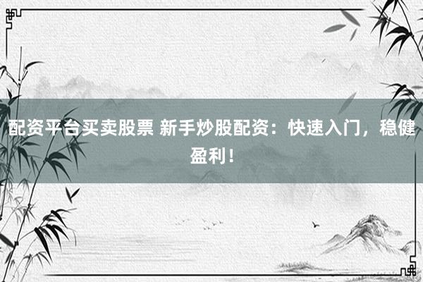 配资平台买卖股票 新手炒股配资：快速入门，稳健盈利！