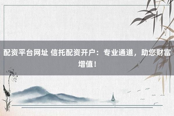 配资平台网址 信托配资开户：专业通道，助您财富增值！